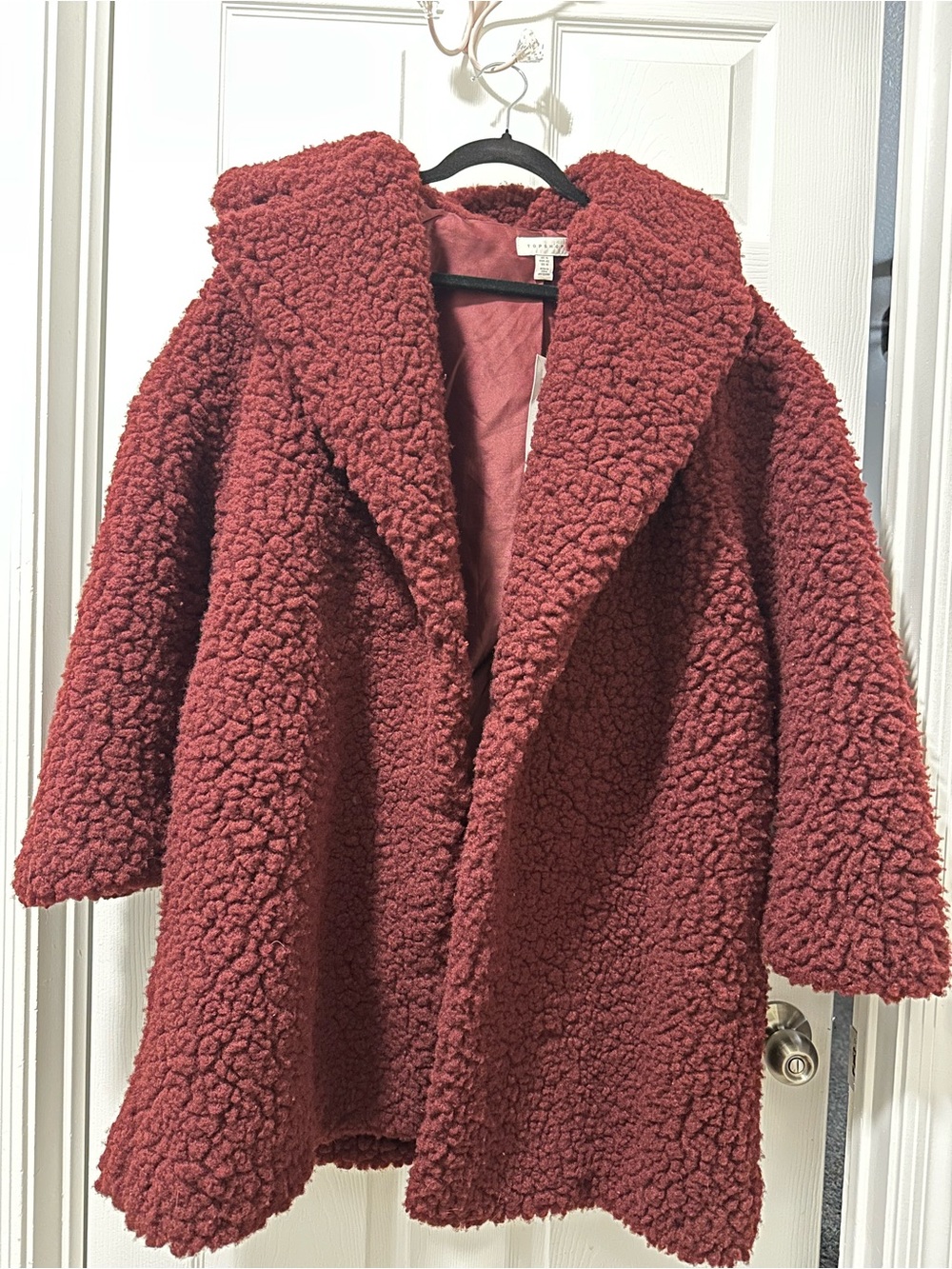 NWT Topshop Frenchy Big Borg Teddy Coat Burgundy Size 10 Oversized - Picture 4 of 7